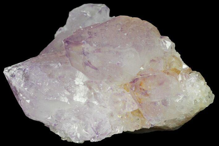 Cactus Quartz (Amethyst) Crystal Cluster - South Africa #132487